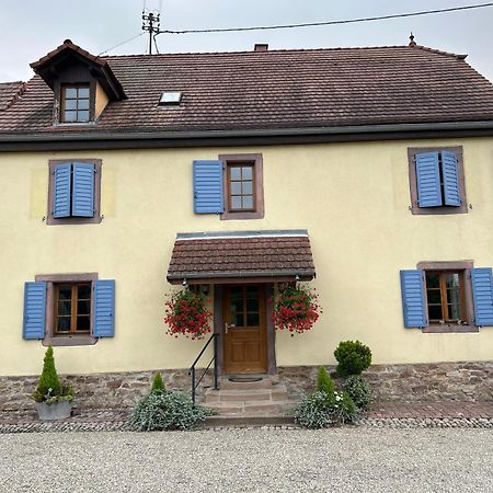 Gite La Maison De Jules Muntzenheim Exteriér fotografie
