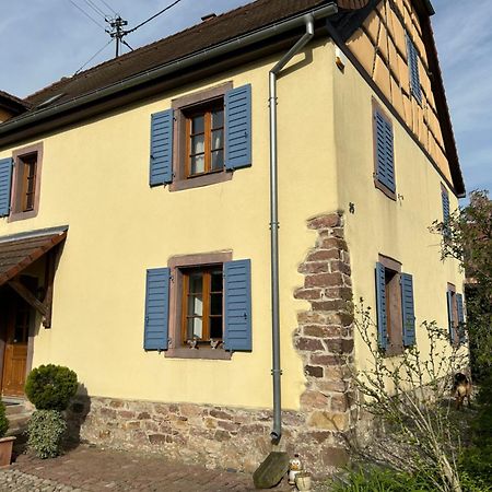 Gite La Maison De Jules Muntzenheim Exteriér fotografie