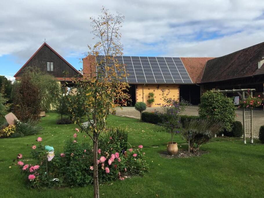 Gite La Maison De Jules Muntzenheim Exteriér fotografie