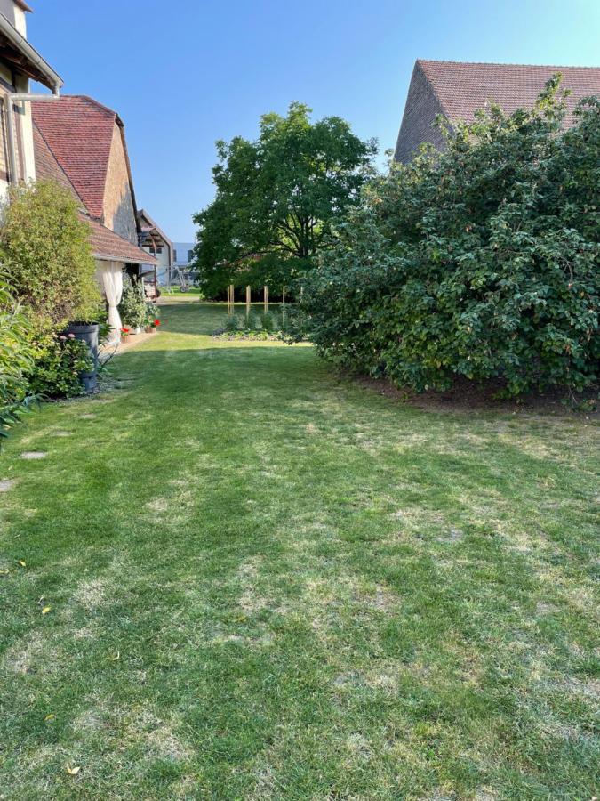 Gite La Maison De Jules Muntzenheim Exteriér fotografie